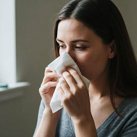 В России проводят клинические исследования первой вакцины от аллергии на пыльцу березы