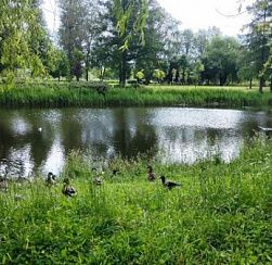 Петербург вновь зальёт дождями на этой неделе