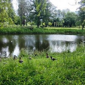 Петербург вновь зальёт дождями на этой неделе
